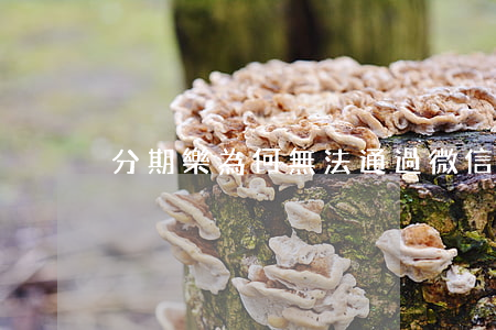 分期樂為何無法通過微信進行還款？